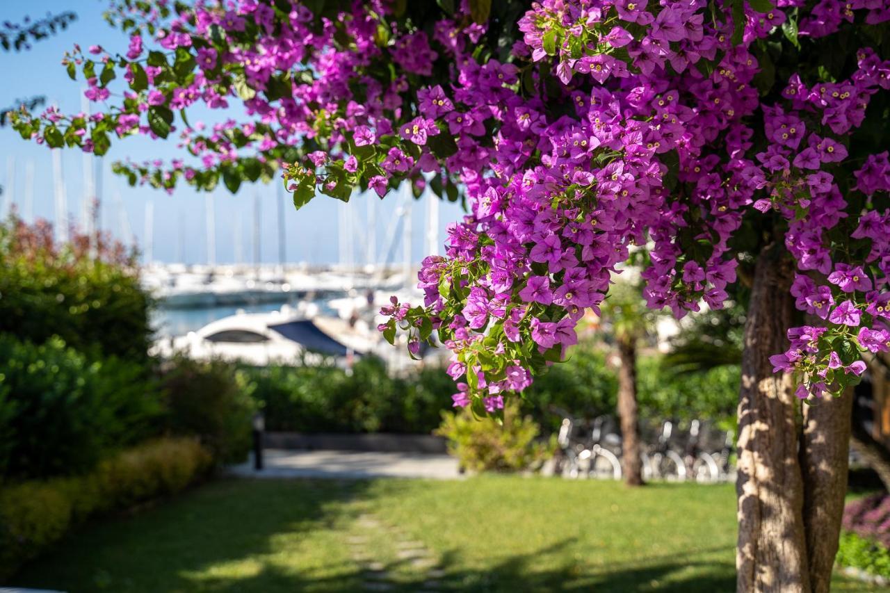 Blu Hotel Lavagna Dış mekan fotoğraf